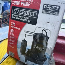 Sump Pump 