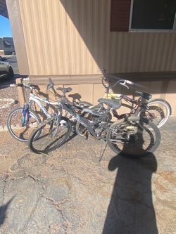 I am selling three mountain bikes for adults. They are in good working order; I am asking 70 for all three. Firm price.