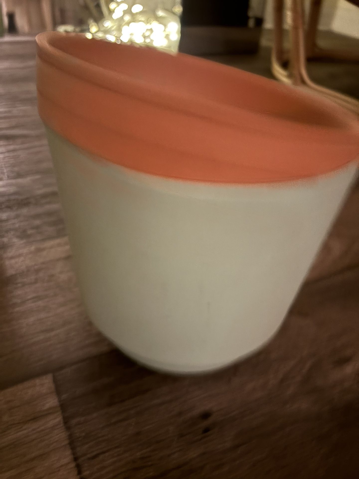 Free Plant Pots - One Is Terracotta 