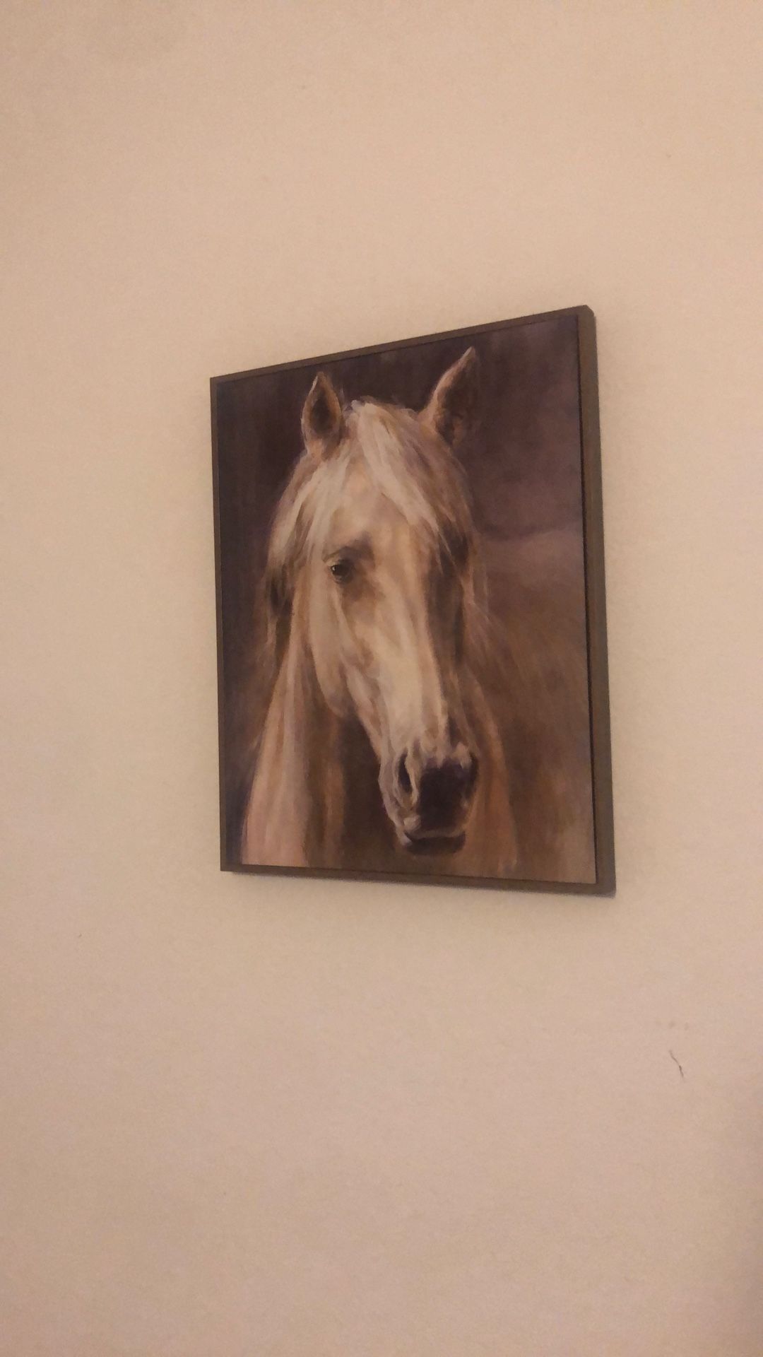 Horse Picture