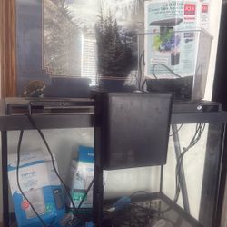 20 Gallon Fish Tank Plus a 1 Gallon Fish Tank 