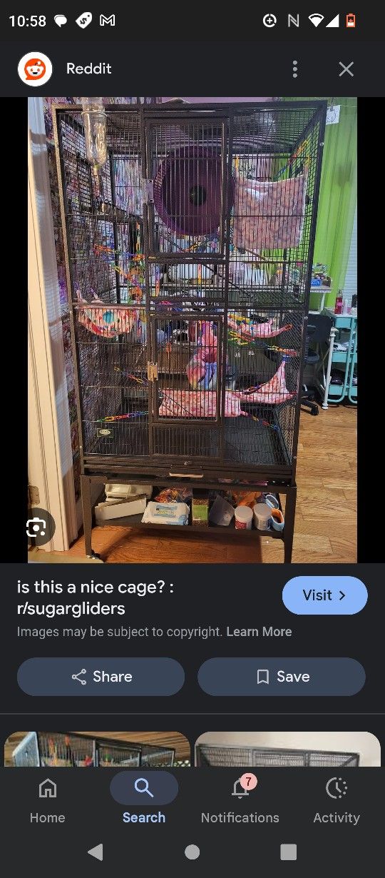 Cage For Sugar Gliders Used