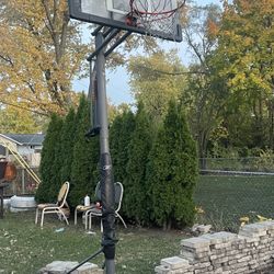 Basketball Hoop Reebok