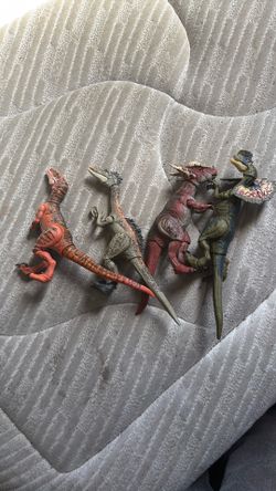Raptors Hammond collection