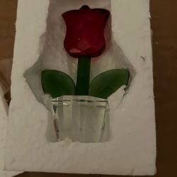 Glass Tulip