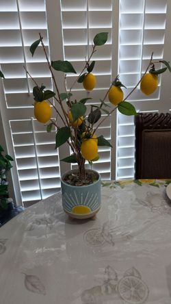 Lemons Arrangement