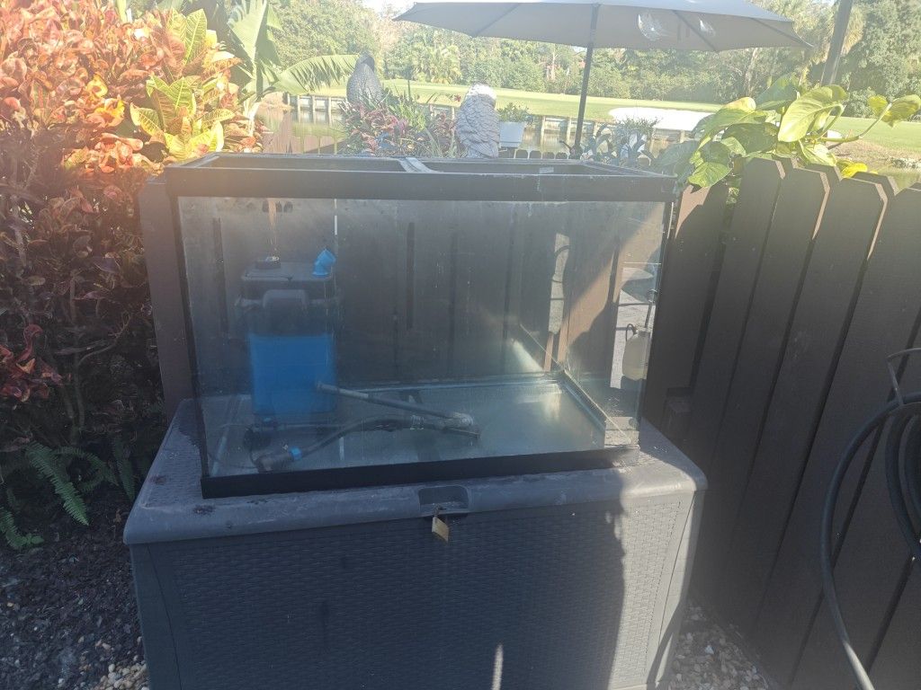 65 Gallon Aquarium And Filter 