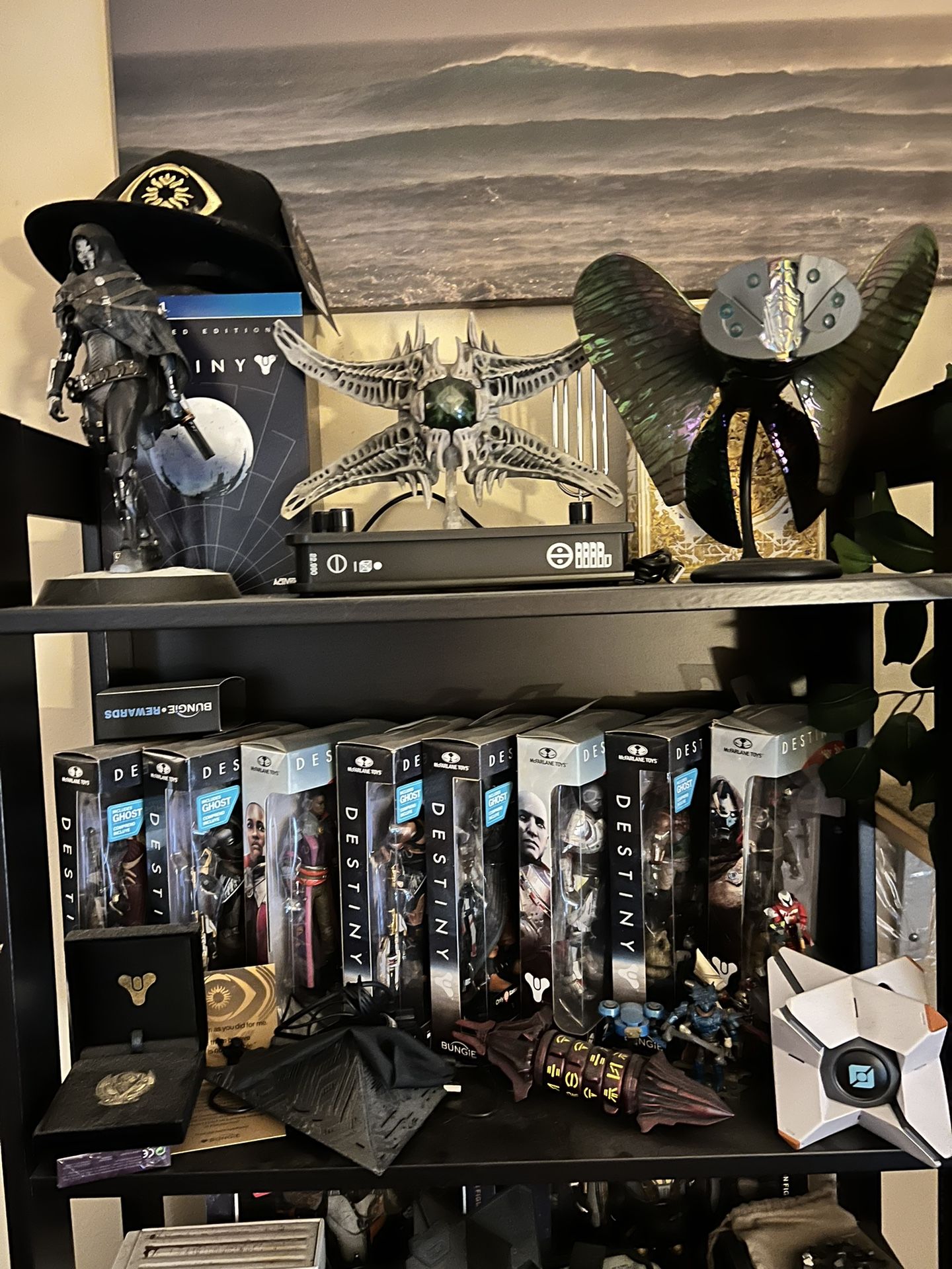 Destiny Collector Collection