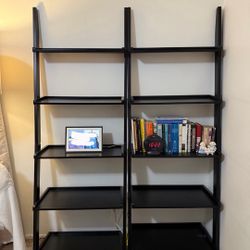 Ladder Shelves