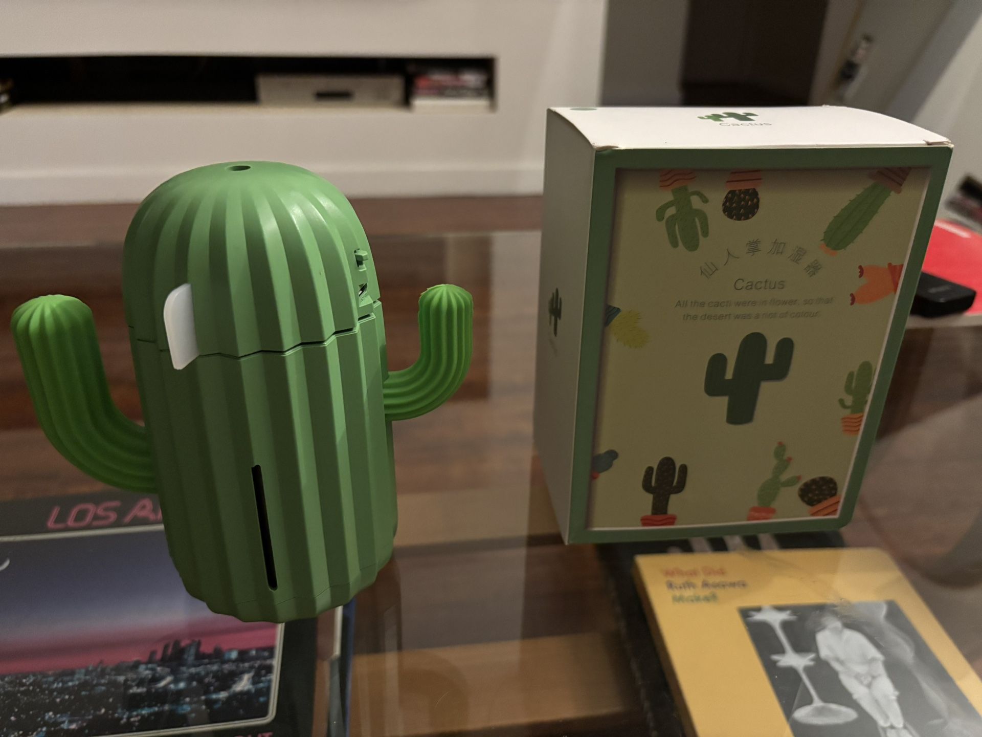 Mini Cactus 🌵 LED USB Humidifier