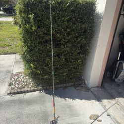 Profishiency Bait Caster