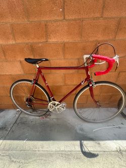 Zebrakenko bike