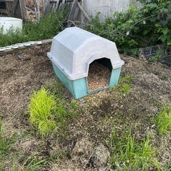 Dog House 