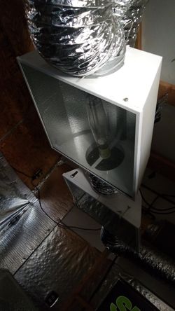 1000 w grow lights