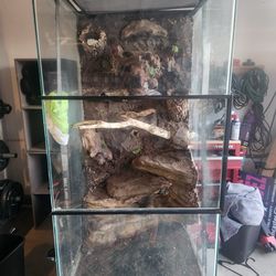 Large Reptile Tank