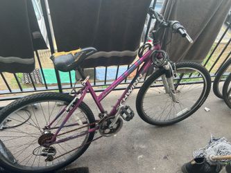 Purple Shwinn Bike