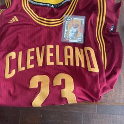 NBA Lebron Jersey And Rookie Card!