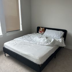 Brand New IKEA Bed And Matress!