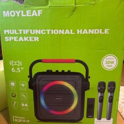 Bluetooth Karaoke Machine With 2 Microphones New