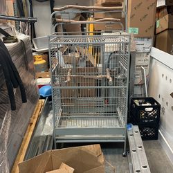Bird