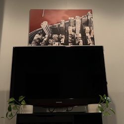 52” Samsung With Fire Tv Stick