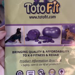 Totofit Ball For Dogs 