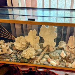 60 Gallon Tank Aquarium with Shells 