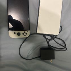 Switch Oled 300