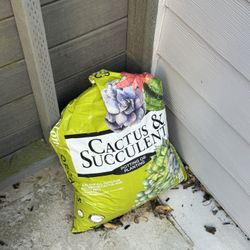 Succulent Fertilizer 