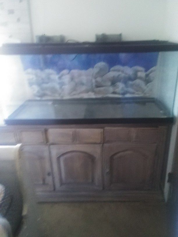 Very Nice 75 Gallon Aquarium Comes With A Stand And Two Fuel Filters And A LED Lighti