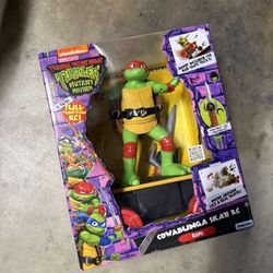 Ninja Turtle Toy 