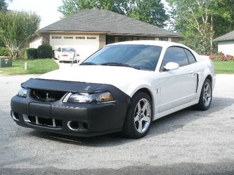 03-04 cobra front bra