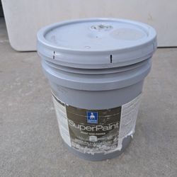 Paint And Primer 5 Gallones Exterior 