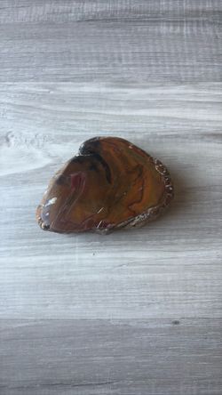Vintage petrified wood