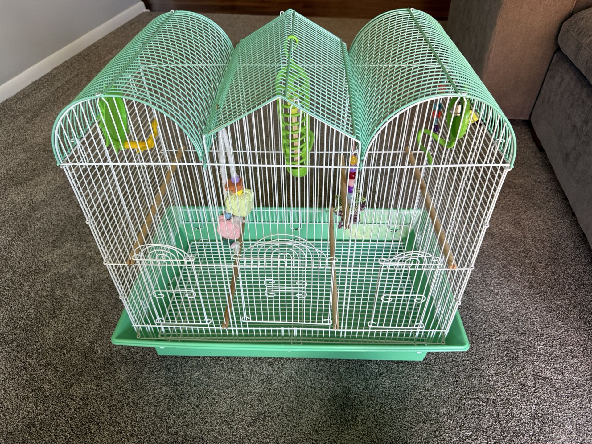 Bird Cage
