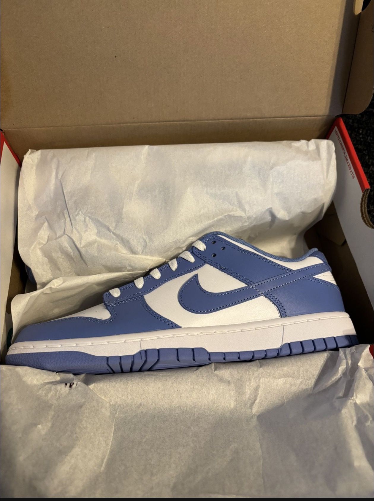 Nike Low Dunk “ Polar Blue “