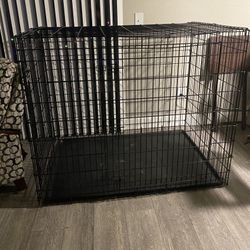 XXL dog Crate 