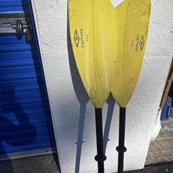  Carlisle Magic series kayak paddles