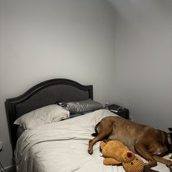 NEED GONE ASAP full size mattress and frame