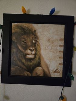 Square Picture Of Alion 
