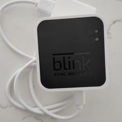 Blink Module 2 NEW Without Box 
