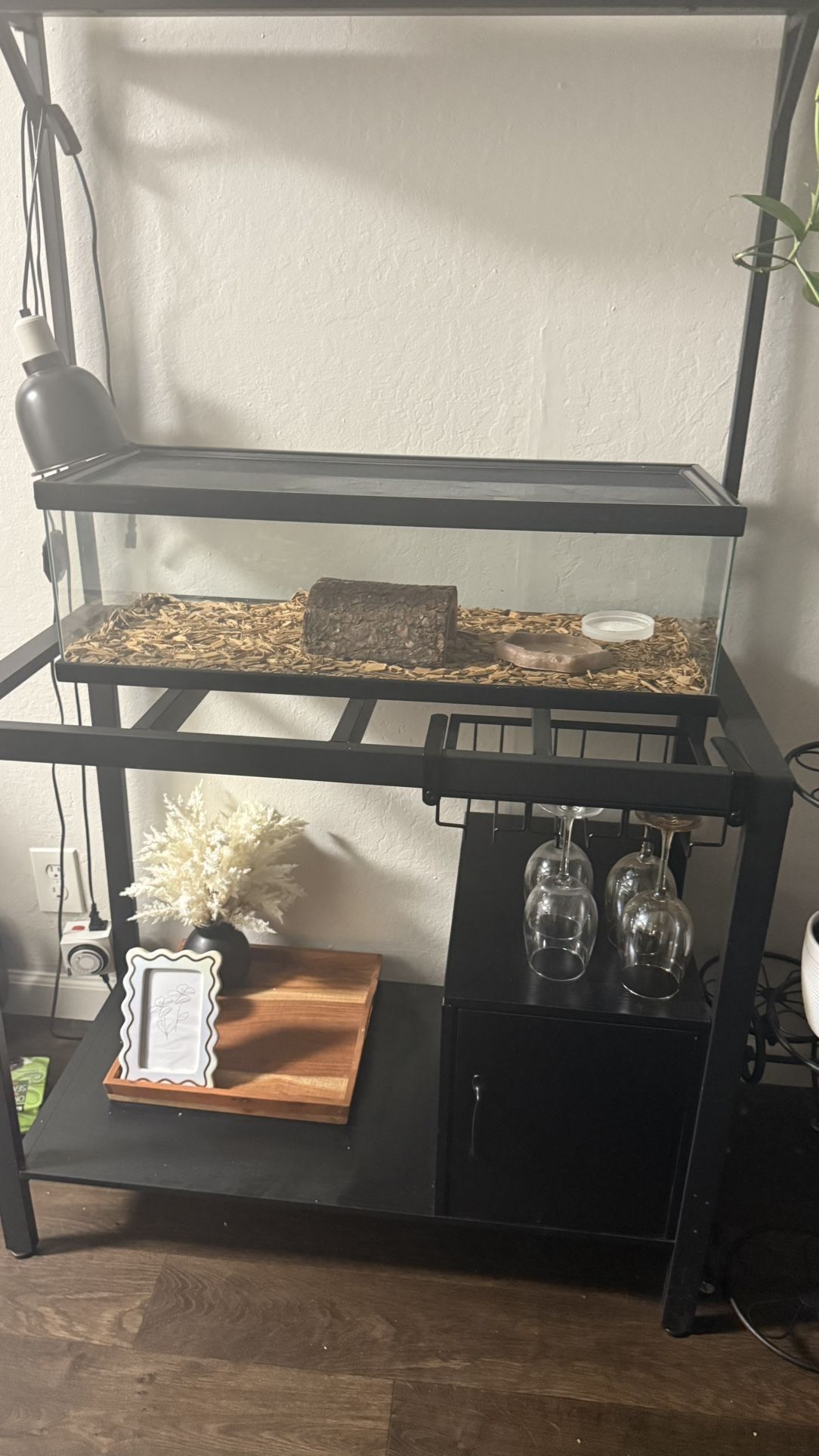 Reptile, Turtle , Snake Tank