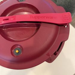 Microwave Pressure Cooker $15