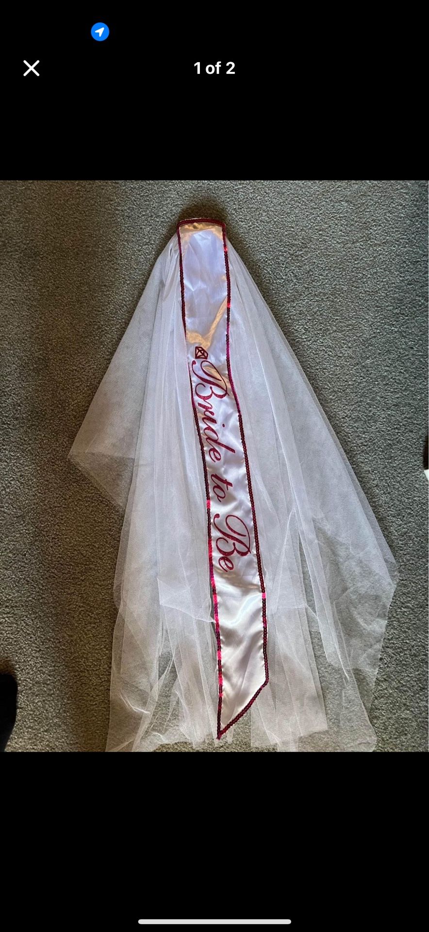 Bride To Be Veil 