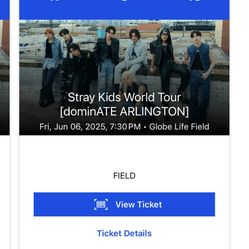 Stray Kids Dominate World Tour