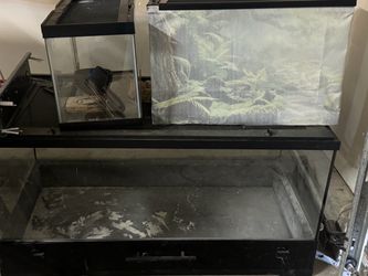 Reptile enclosures