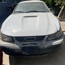2001 Ford Mustang