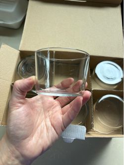 Set of 12 Bodega Glasses