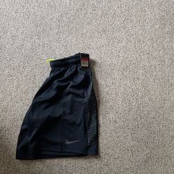 $5 APIECE!! Total of 11 pairs!! NWT Nike Men's L dryfit shorts 