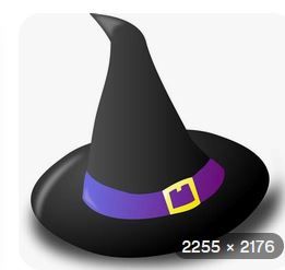 HALLOWEEN NEW 2 WITCH HAT